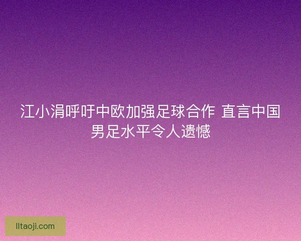 江小涓呼吁中欧加强足球合作 直言中国男足水平令人遗憾